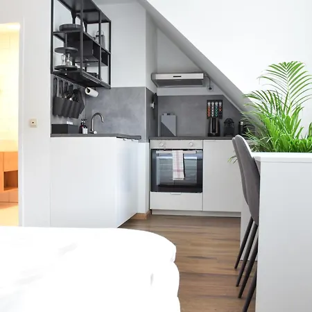 Stycoz - Modern -